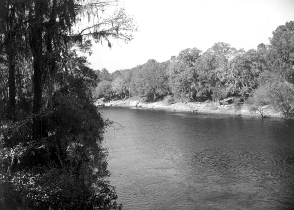 View of Suwannee River .