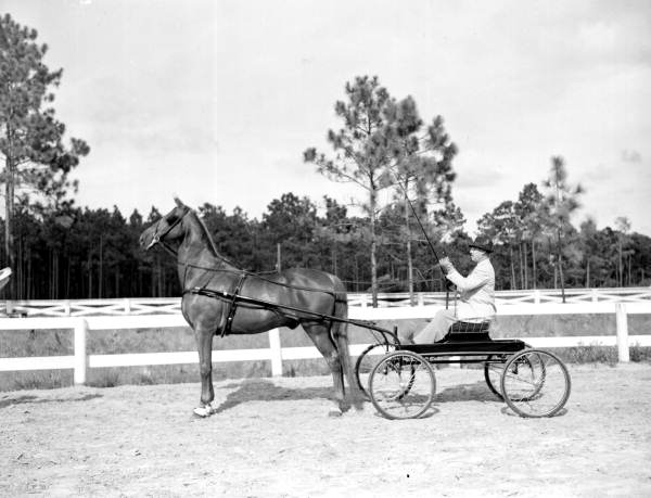 F.W. Truex and his horse, Red Eagle - Orange Park, Florida
