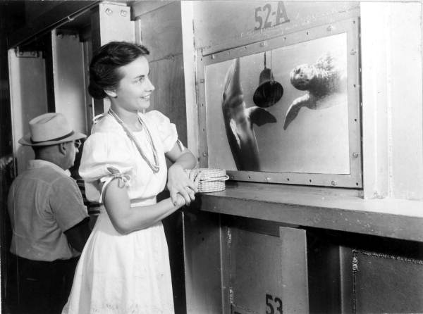 Woman viewing underwater life at Marine Studios - Marineland, Florida