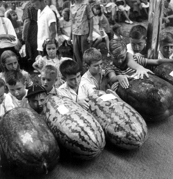 Children shown with prize watermelons - Leesburg, Florida