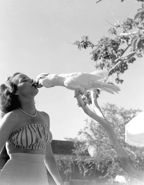 Frances Freeman "kisses" billy the cockatoo - Kendall, Florida