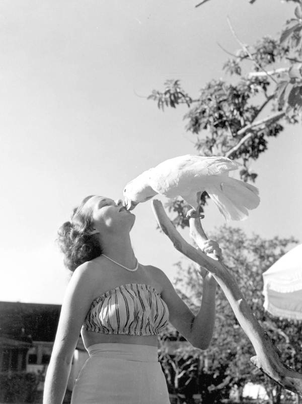 Frances Freeman "kisses" billy the cockatoo - Kendall, Florida