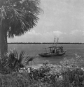 Oyster boat in a tropical setting - Apalachicola, Florida