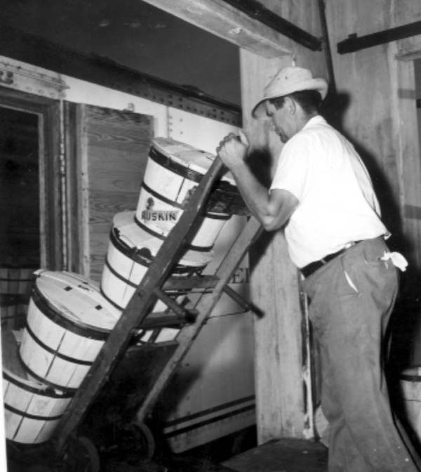 J. A. Sheffield loading crated cucumbers onto a refrigerated car for transportation - Ruskin, Florida