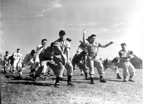 Young baseball players exercise - Tampa, Florida .