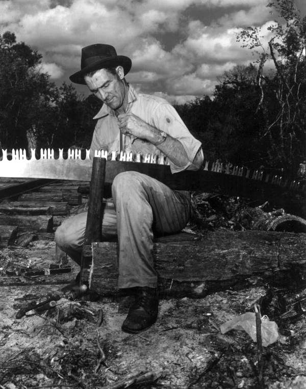 Rufus M. Beebe files his saw after cutting down a cypress - Copeland, Florida
