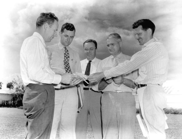 Specialists examining Everglades yellow wax beans - Belle Glade, Florida.