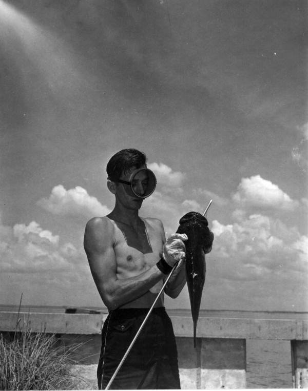 Captain Robert Voight spear fishing - Saint Peterburg, Florida