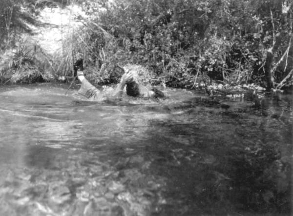 Al Zaebst wrestling a wild alligator - Weeki Wachee River, Florida
