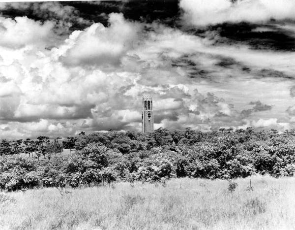View of Bok Tower - Lake Wales, Florida