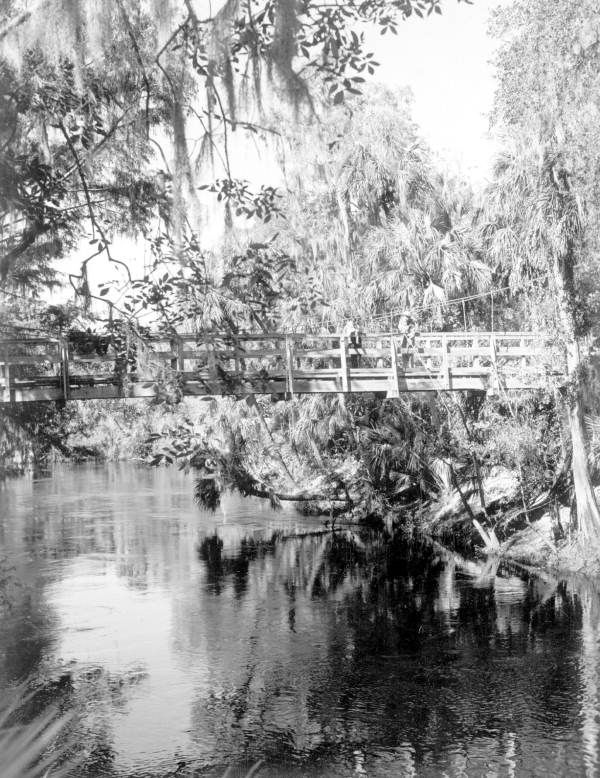 Fishing on the Hillsborough River - Thonotosassa, Florida