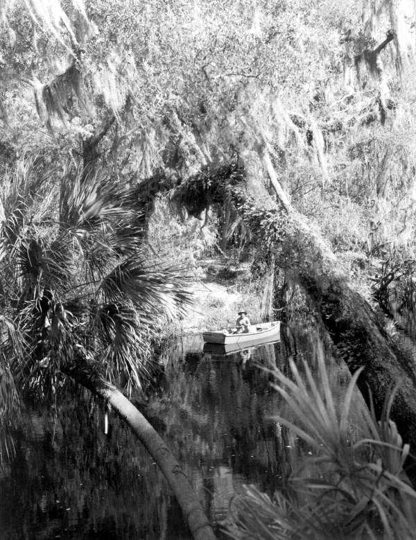 Fishing from the bridge - Thonotosassa, Florida