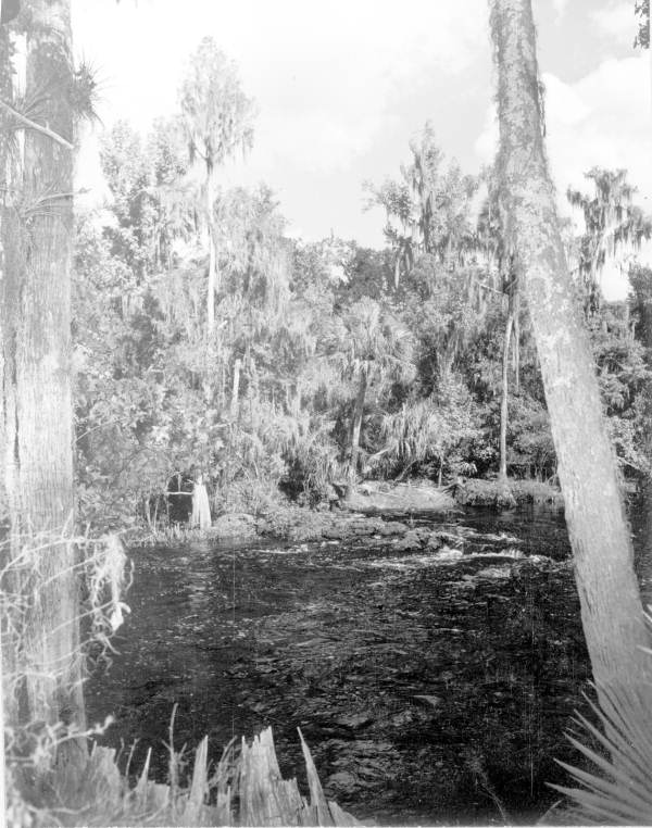 Rapids on the Hillsborough River - Thonotosassa, Florida