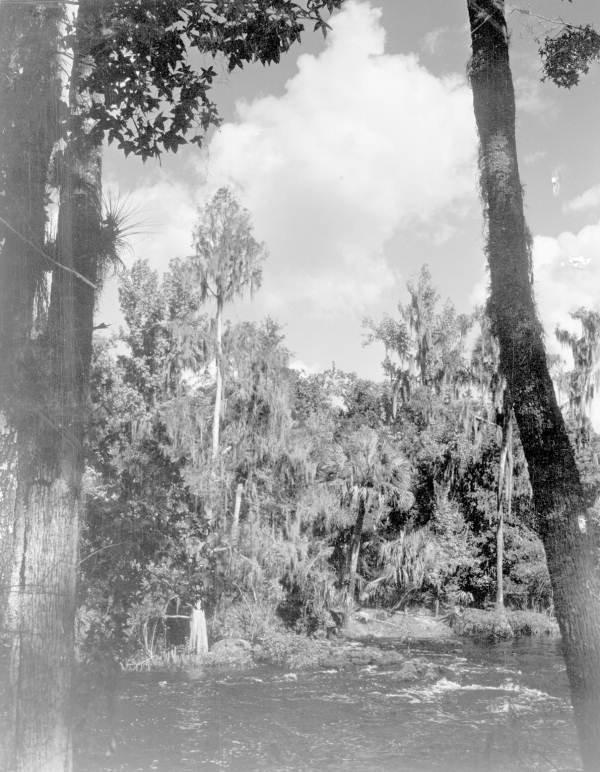 Rapids on the Hillsborough River - Thonotosassa, Florida