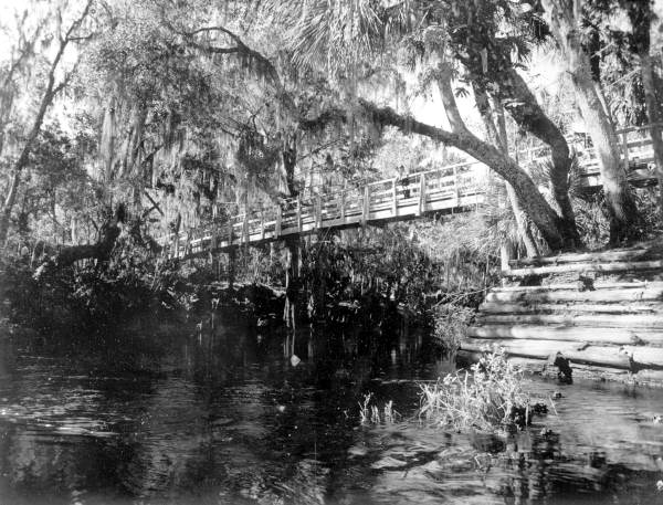 Fishing on the Hillsborough River - Thonotosassa, Florida