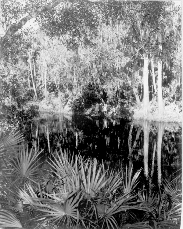 Fishing at Hillsborough River State Park - Thonotosassa, Florida