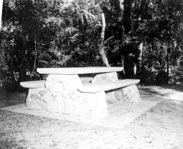Table at the picnic ground - Thonotosassa, Florida