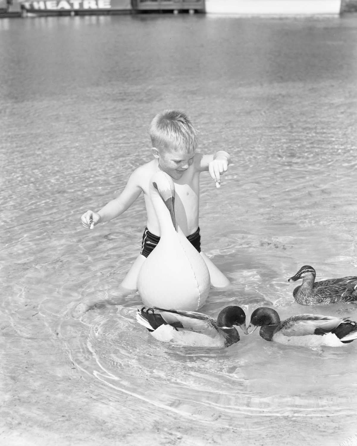 Pat Perry feeding ducks.