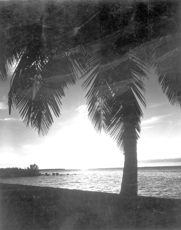 View of a sunset - Punta Gorda, Florida .