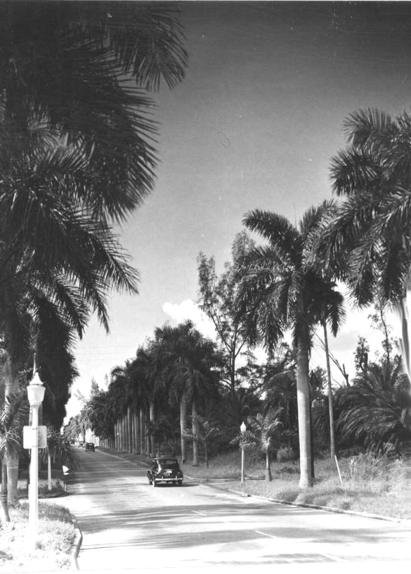 McGregor Boulevard - Fort Myers, Florida.