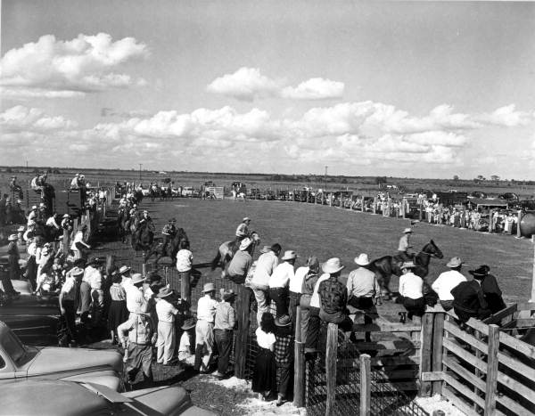 Crowds watch a rodeo - Okeechobee, Florida