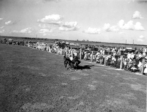 Crowds watch a rodeo - Okeechobee, Florida