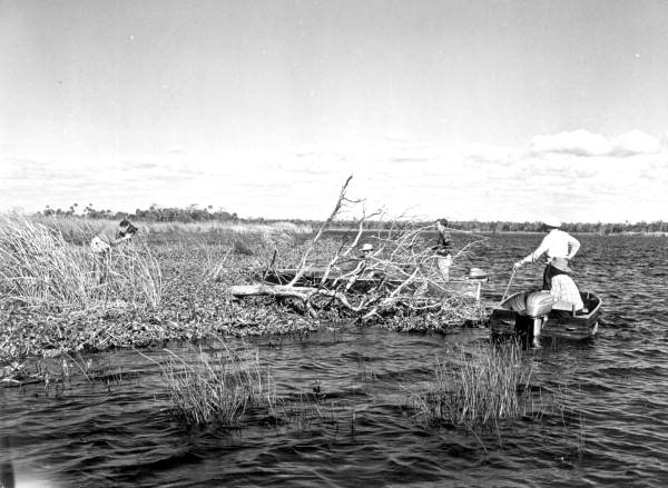 Camera men filming in the Suwannee River .