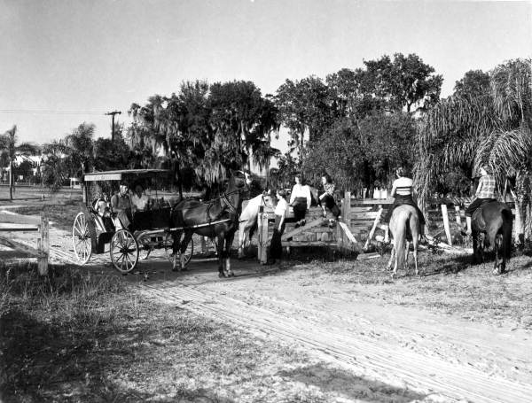 Horseback riders meet with a carriage group at the Country club - Howey-in-the-Hills, Florida