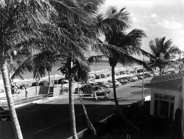 View of Fort Lauderdale Beach between palms.