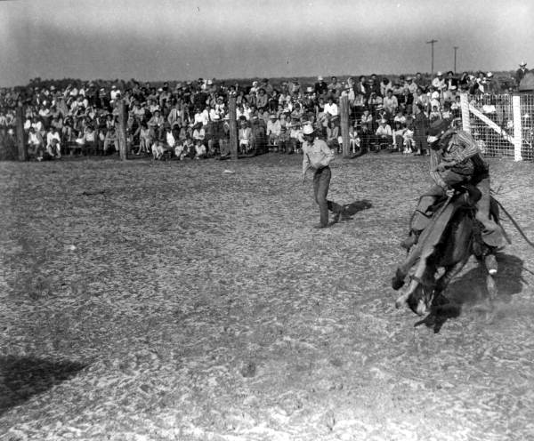 Bronco riding at Flood control Celebration - Okeechobee, Florida