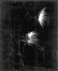 Fireworks at the watermelon festival - Leesburg, Florida