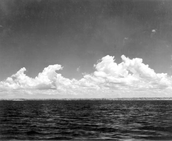 Coastline water in the vicinity of Cape Sable - Cape Sable, Florida .