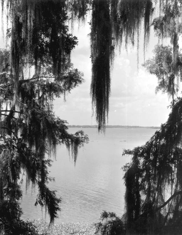 View of the Saint Johns River - Green Cove Springs, Florida .