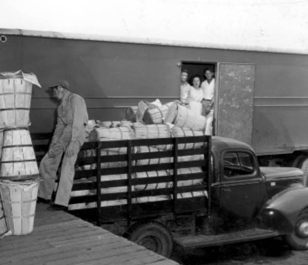 Unloading baskets of produce at Plant City's farmers' market