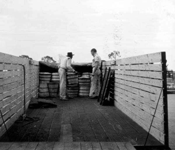 Unloading baskets of produce - Plant City, Florida