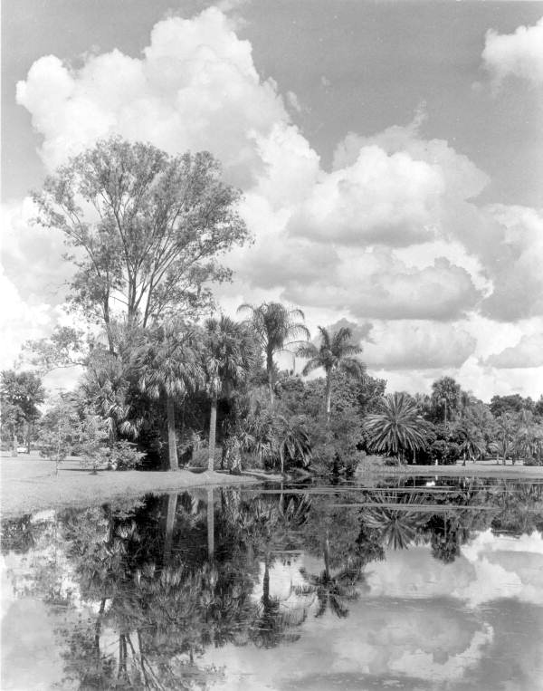 View of Lake Eola - Orlando, Florida.