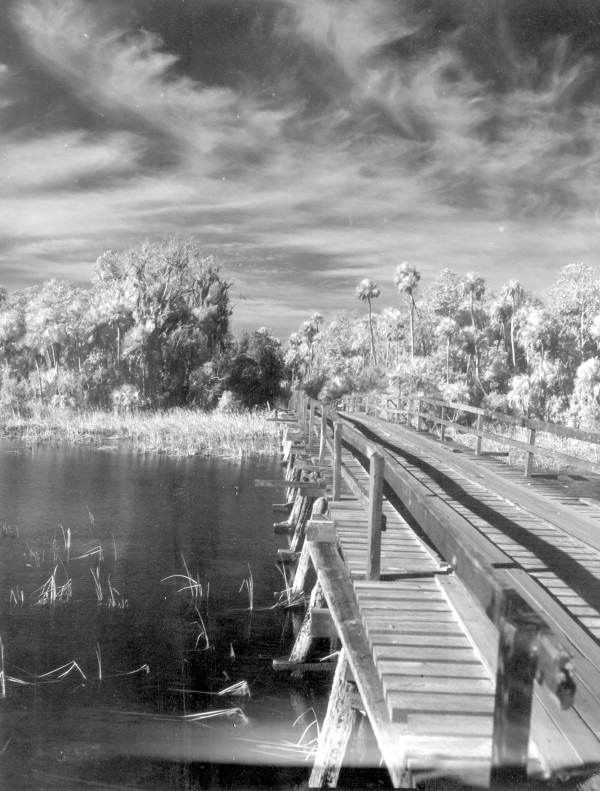 Bridge over Halls River - Homosassa Springs, Florida .