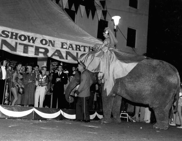 Elephant Ruth stands in front of a theater during the ceremony for the "Greatest Show on Earth" premiere - Sarasota, Florida.
