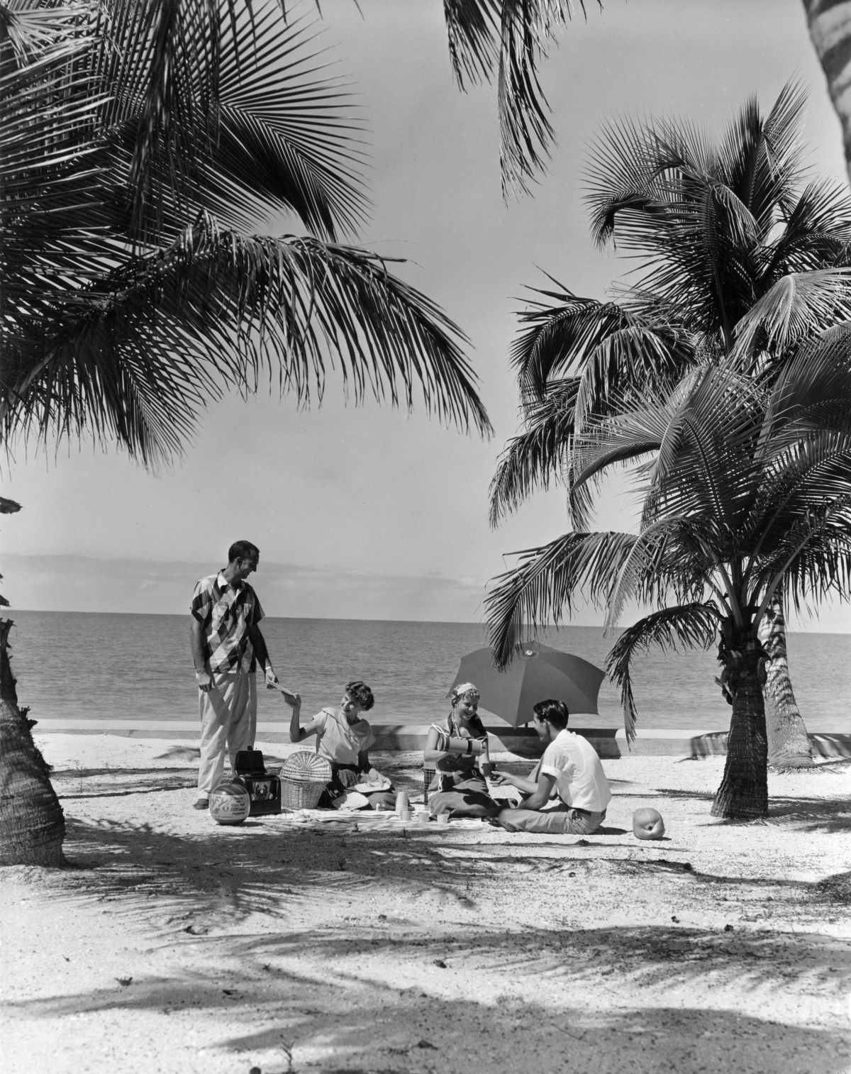 Picnic scene