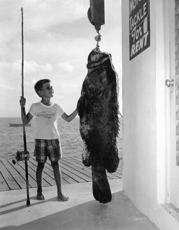 Stuyvesant Basso with goliath grouper at the Key Motel :Marathon, Florida