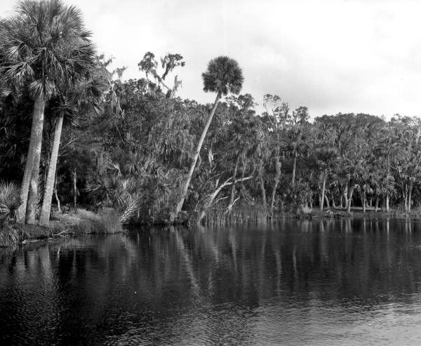 Scenic view of Bulow Plantation Ruins state park - Bunnell, Florida