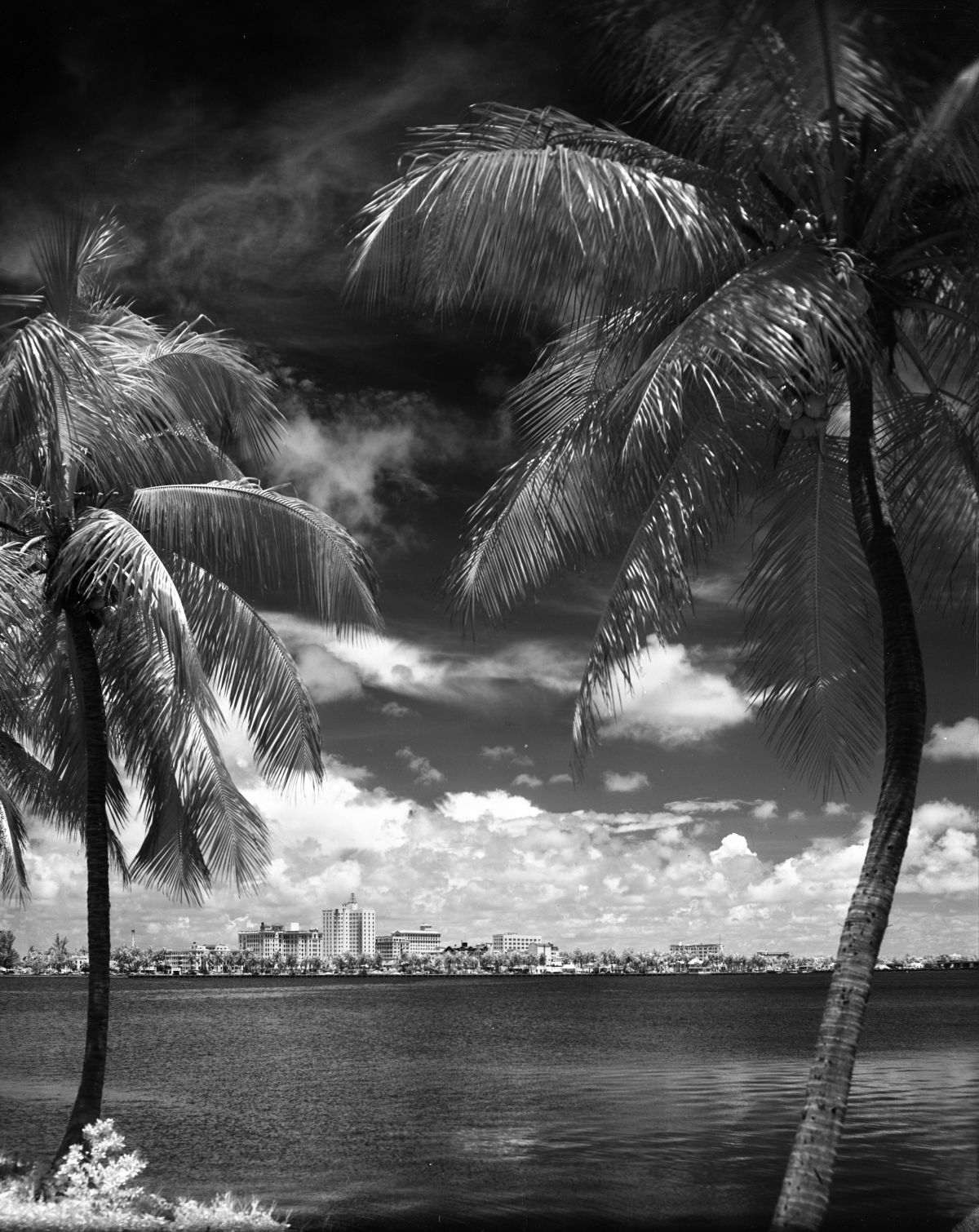 Distant view of West Palm Beach with Lake Worth in foreground.