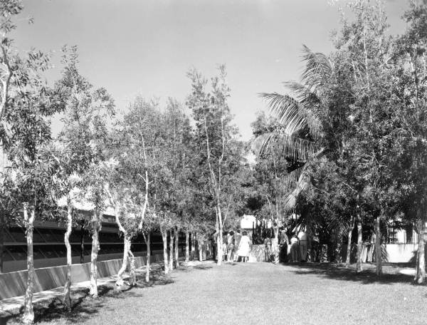 Grounds of the Miami Serpentarium