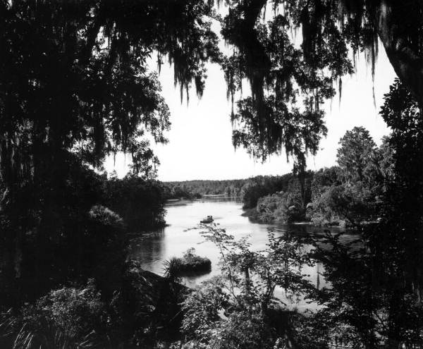 View of Rainbow Springs - Dunnellon, Florida