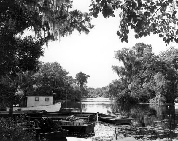 View of the Chassahowitzka Springs and the river beyond it - Citrus, Florida .