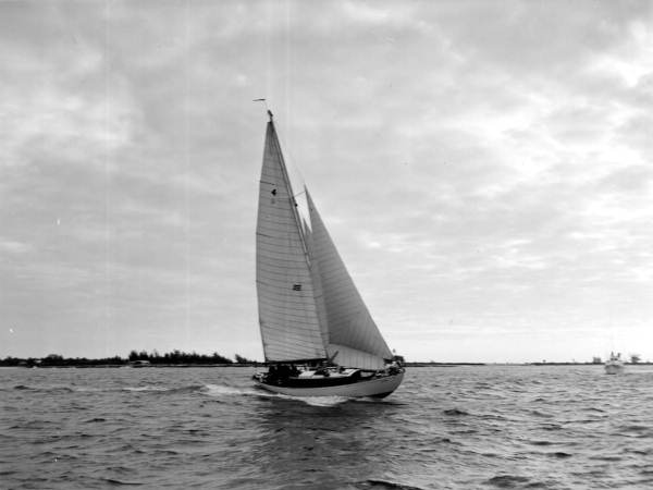 Sailboat on the sea traveling from Fort Lauderdale to Bimini