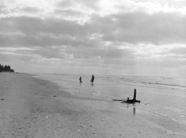 Mother and daughter looking for seashells on the beach at Sanibel-Captiva Islands - Lee County, Florida.