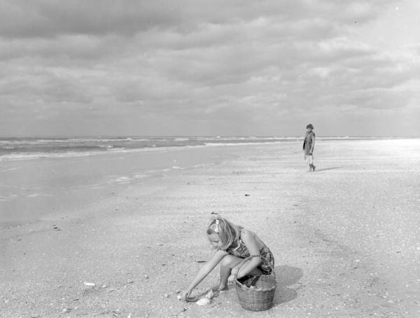 A girl picking up seashells on the beach at Sanibel-Captiva Islands - Lee County, Florida.