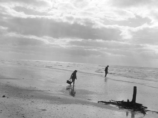 Mother and daughter looking for seashells on the beach at Sanibel-Captiva Islands - Lee County, Florida.