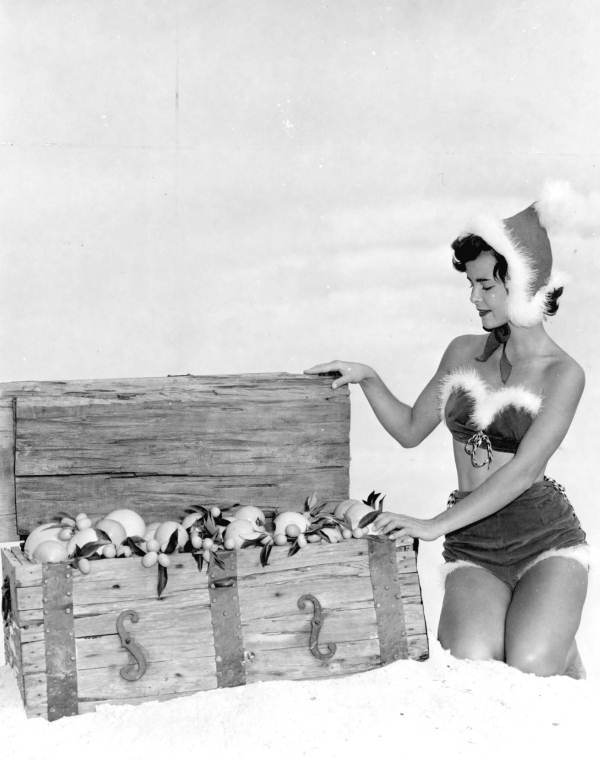 Christmas in Florida